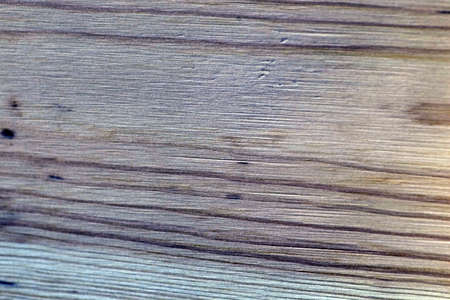 Wood texture .nature pattern, treeの写真素材