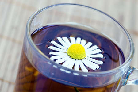 Cup of herbal tea and flower of a chamomileの写真素材