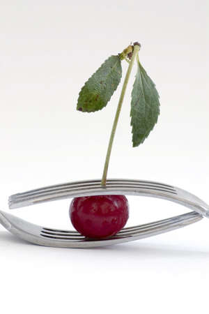 wet cherry with two fork over white backgroundの写真素材