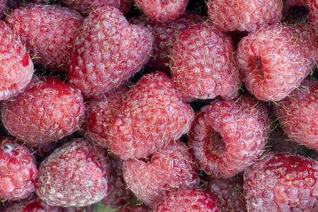 Abstract background from a fresh ripe raspberryの写真素材