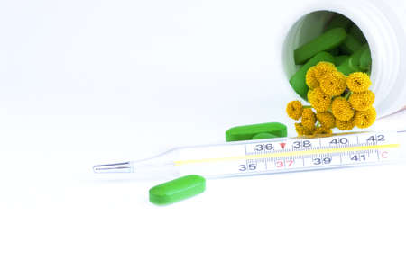 Thermometer and pills over white with tansy flower
