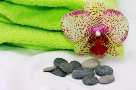 Delicate orchid with a green towel with on a white backgroundの写真素材