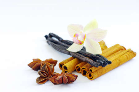 Star anise, cinnamon, vanilla and orchid on a white background