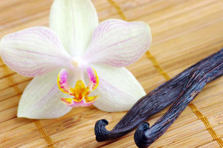 Orchid with vanilla beans on the matの写真素材