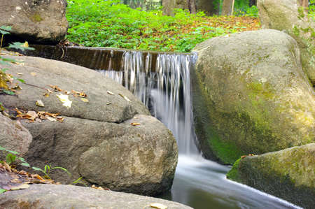 The beautiful stream in forest. の写真素材