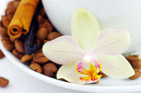 Cup and coffee beans, isolated over white backgroundの写真素材