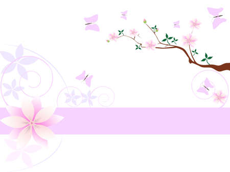  Magnolia flowers background のイラスト素材