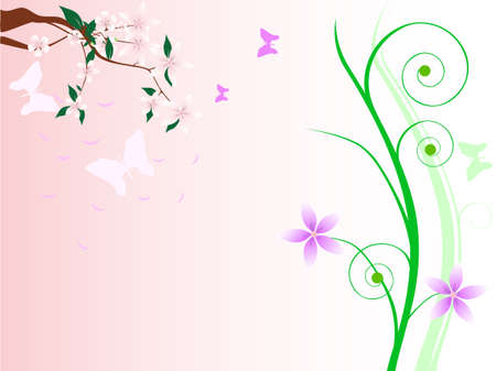 Flowers of sakura at the spring . Spring landscape のイラスト素材