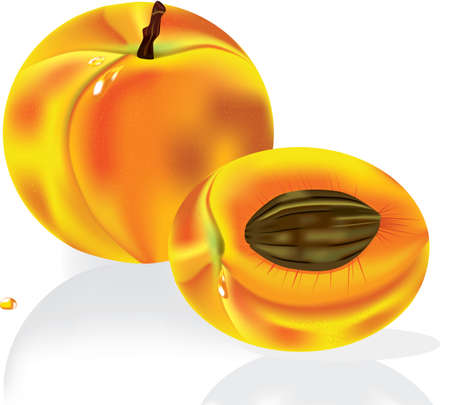  Vector illustration. Ripe peach fruit with water dropのイラスト素材