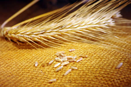 Vintage Styled still-life with  wheat ears の写真素材