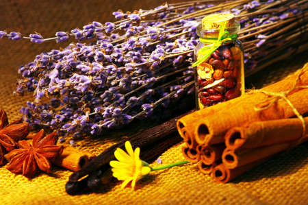 background of various colorful spices の写真素材