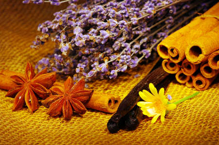 background of various colorful spices の写真素材