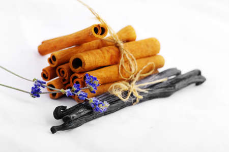 cinnamon and vanilla and lavender isolated over white background の写真素材