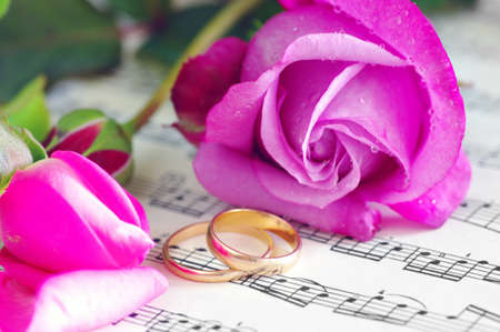 wedding rings and pink roses の写真素材