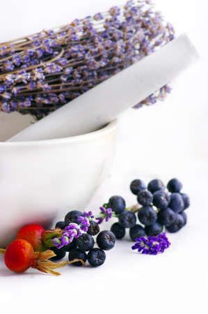 Lavender herb leaves in an ceranic mortar with pestle over white background. の写真素材