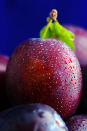 Plums. Fresh ripe washed plums close-up on a bluel gradient background. の写真素材
