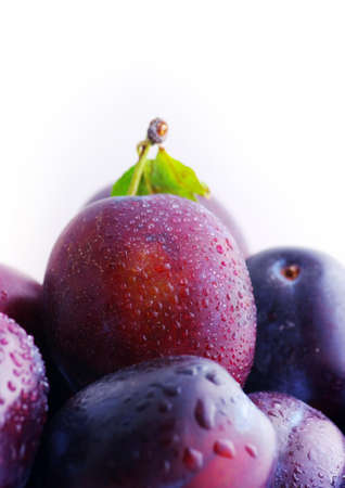 Plums. Fresh ripe washed plums over white backgroundの写真素材