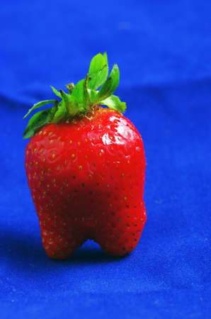 Ripe strawberrie isolate over blue backgroundの写真素材