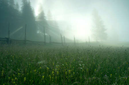 evening mountain plateau landscape (Carpathian, Ukraine)の写真素材