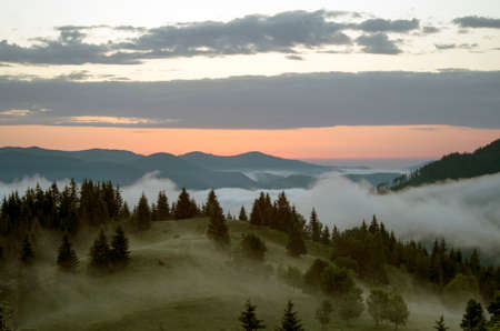 evening mountain plateau landscape (Carpathian, Ukraine) の写真素材
