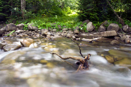 mountain river. Beauty wild nature landscapeの写真素材