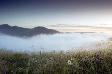 evening mountain plateau landscape (Carpathian, Ukraine)