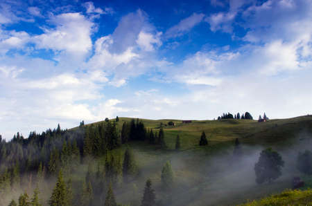 evening mountain plateau landscape (Carpathian, Ukraine)の写真素材