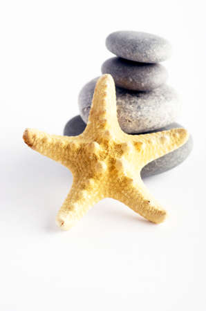 pile of stones and sea star closeup on white backgroundの写真素材