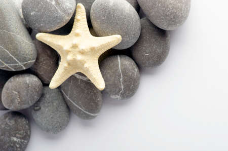 Natural spa elements- seashell with starshell and stones on whiteの写真素材