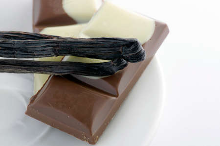 Cup of hot tea with dark chocolateの写真素材