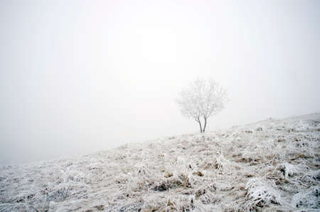 winter calm mountain landscapeの写真素材