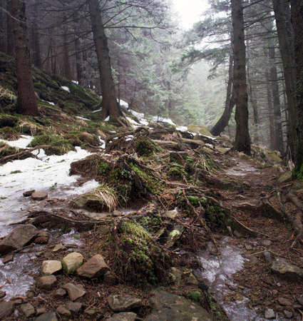 winter calm mountain landscapeの写真素材