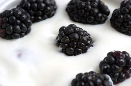 Delicious yogurt and fresh berries for breakfastの写真素材