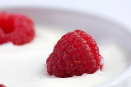 Natural yogurt with fresh raspberriesの写真素材