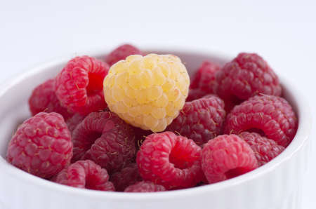 A beautiful selection of freshly picked ripe red raspberriesの写真素材