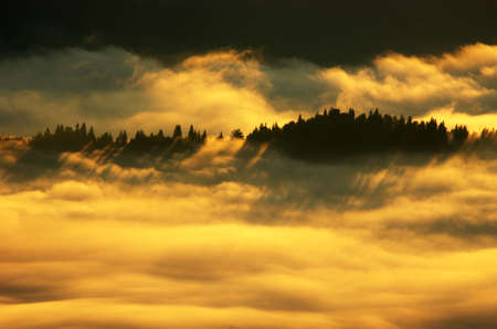 Amazing mountain landscape with dense fog. Carpathian Mountains
