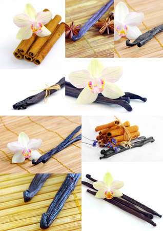 Vanilla spice with flowers of orchidsの写真素材
