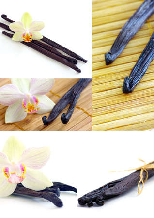 Vanilla spice with flowers of orchidsの写真素材