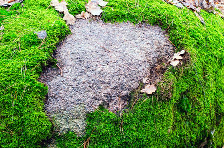 The tract stone village, Zhytomyr region village of Rudnya- Zamyslovichskayaの写真素材