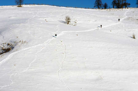 Group of climbers reaching the summitの写真素材