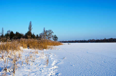 ice on reedy banks of winter lakeの写真素材