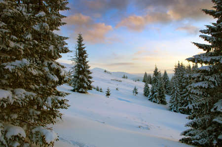 Majestic winter landscape glowing by sunlight in the morning. Dramatic wintry scene. Location Carpathian, Ukraine, Europe.の写真素材