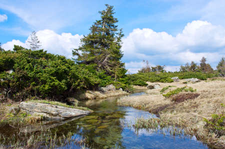 Spring landscape with river, forest, cloudy skyの写真素材
