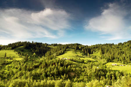 evening mountain plateau landscape (Carpathian, Ukraine)の写真素材
