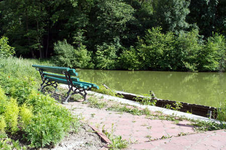 wooden bench looking at the lake and forestの写真素材