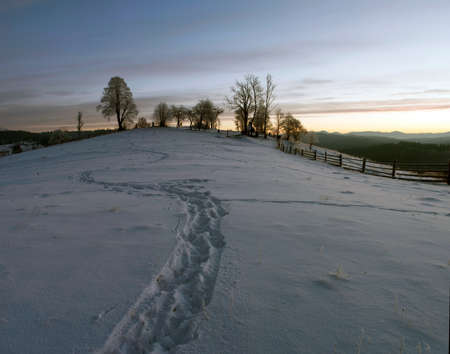 Carpathian mountain valley covered with fresh snow. Majestic landscape. Ukraine, Europeの写真素材