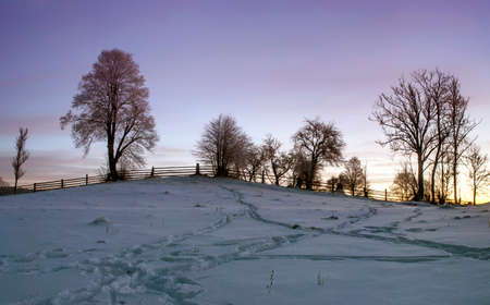 Carpathian mountain valley covered with fresh snow. Majestic landscape. Ukraine, Europeの写真素材