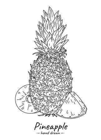 Isolated sketch tropical fruit on white background. Juicy set of whole pineapple and pieces.のイラスト素材