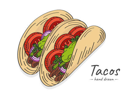 Vector hand drawn colorful tacos illustration with meat, tomato and guacamole sauce.のイラスト素材