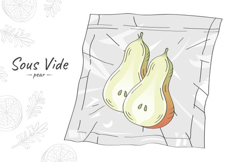 Vector hand drawn sketch illustration of half a pears. Sous Vide Slow Cooking Technology.のイラスト素材